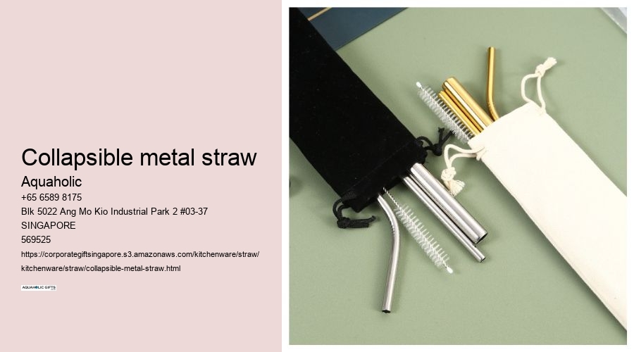 collapsible metal straw